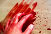 15401441 halloween concept hand in blood ck