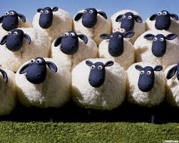 sheep 3 1 w728h480