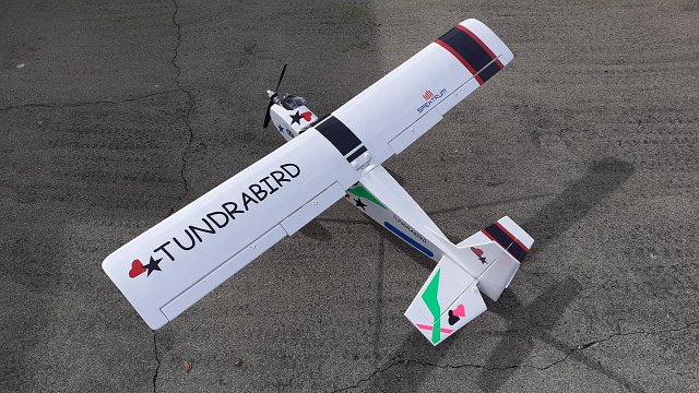 Tundrabird 5