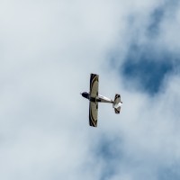  dsc3574