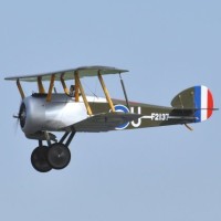 members models  