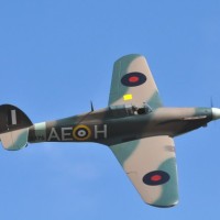 members models  